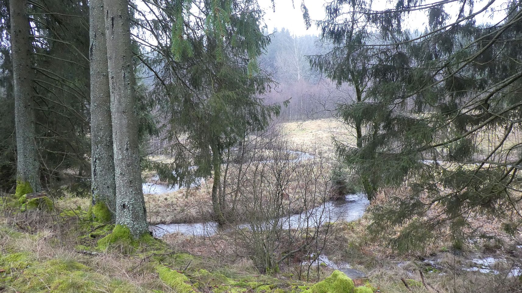 Rothaarsteig