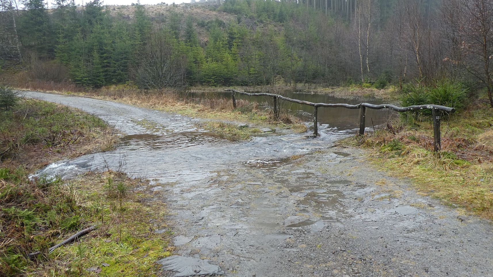 Rothaarsteig
