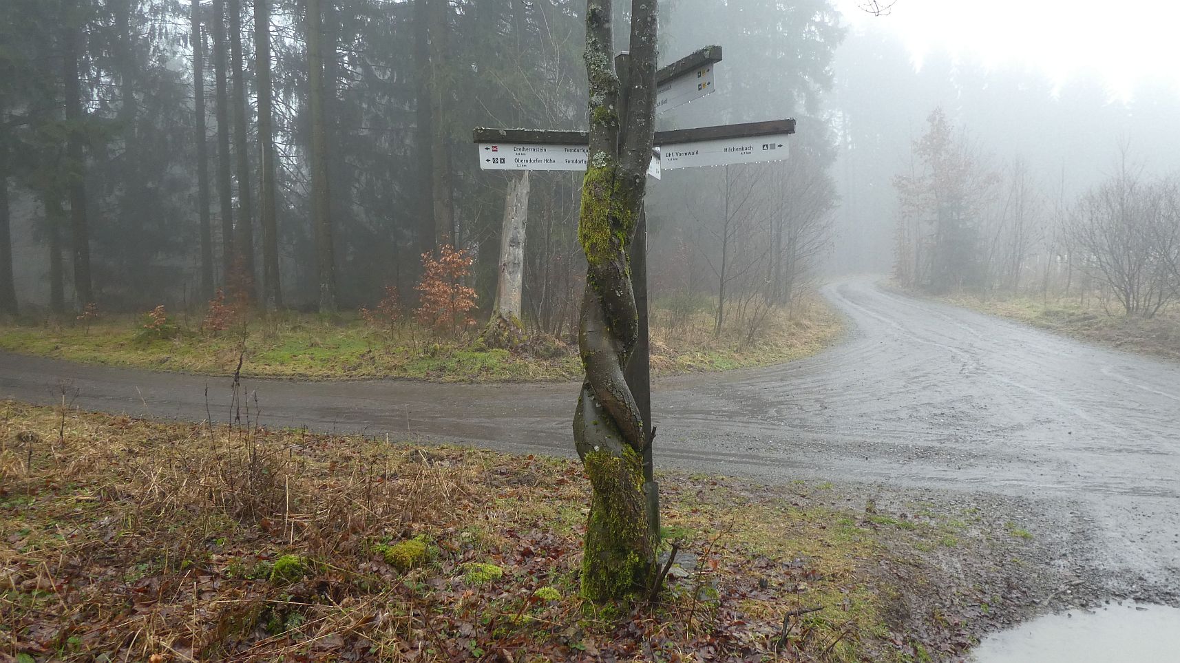 Rothaarsteig