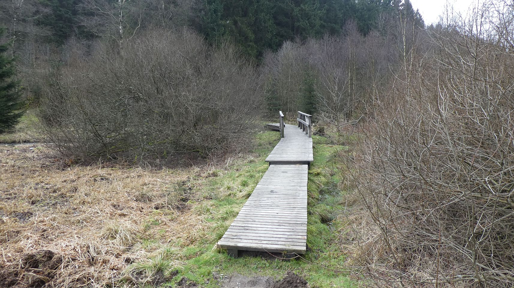 Rothaarsteig