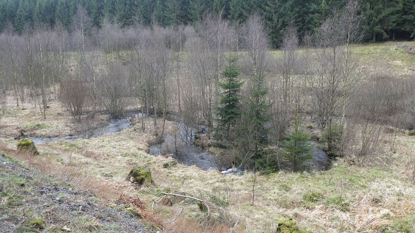 Rothaarsteig