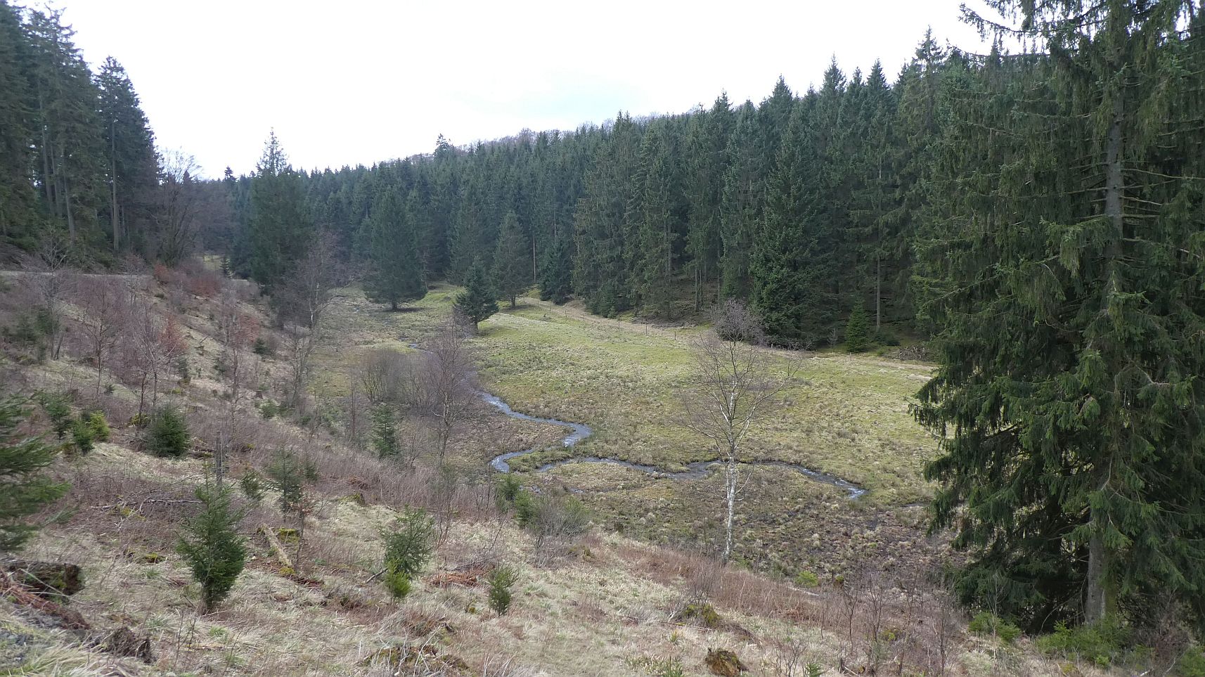 Rothaarsteig