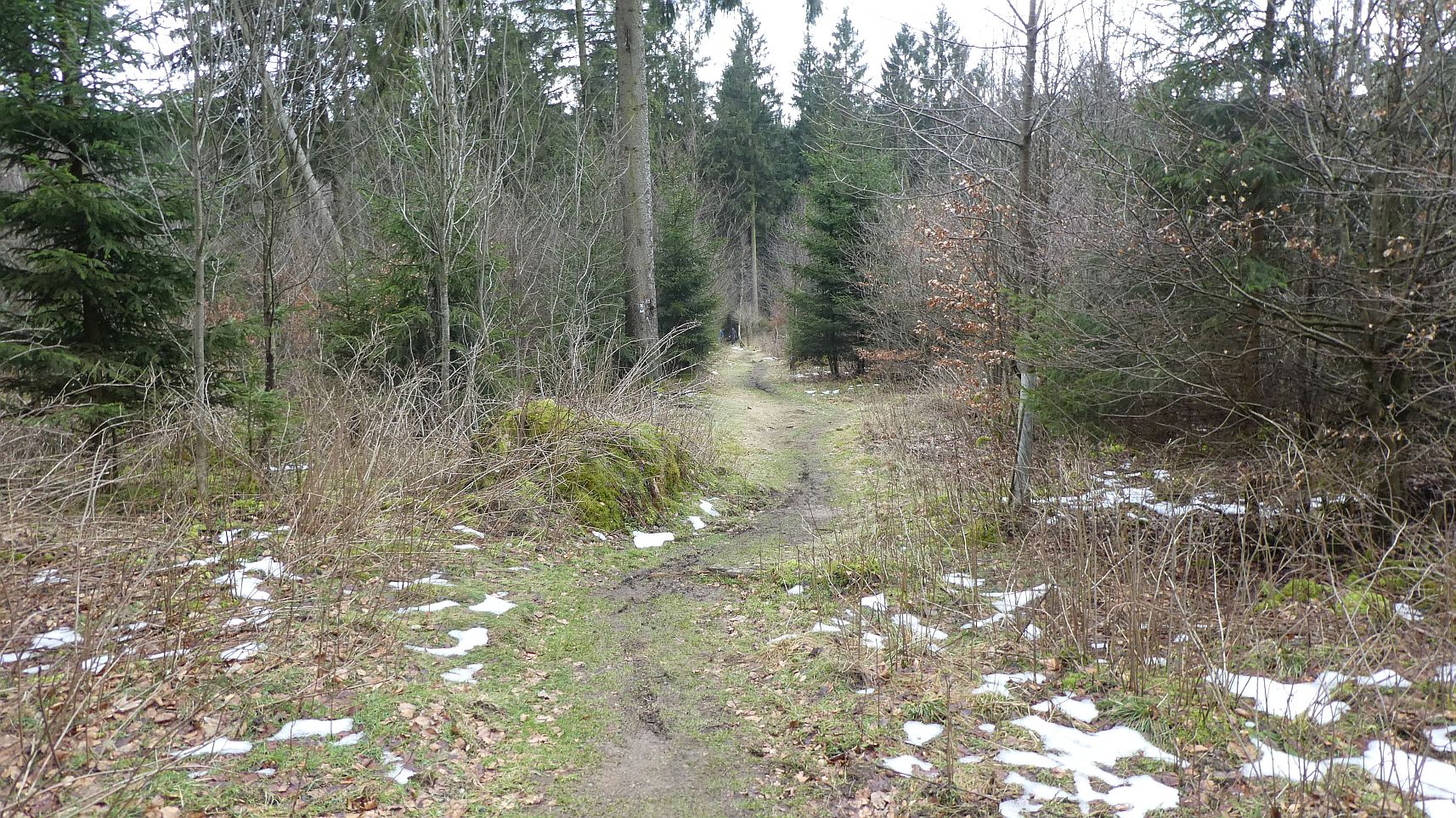 Rothaarsteig