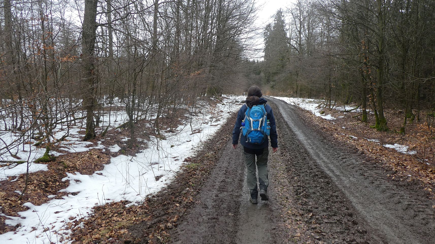 Rothaarsteig