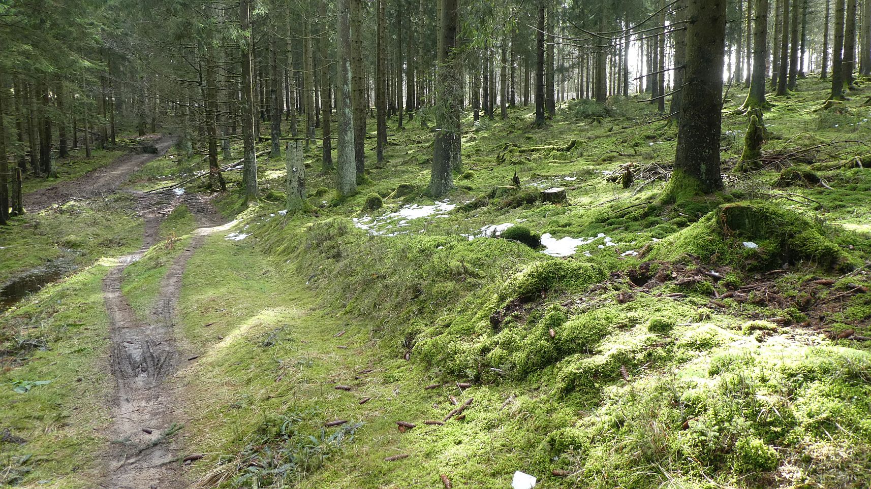 Rothaarsteig
