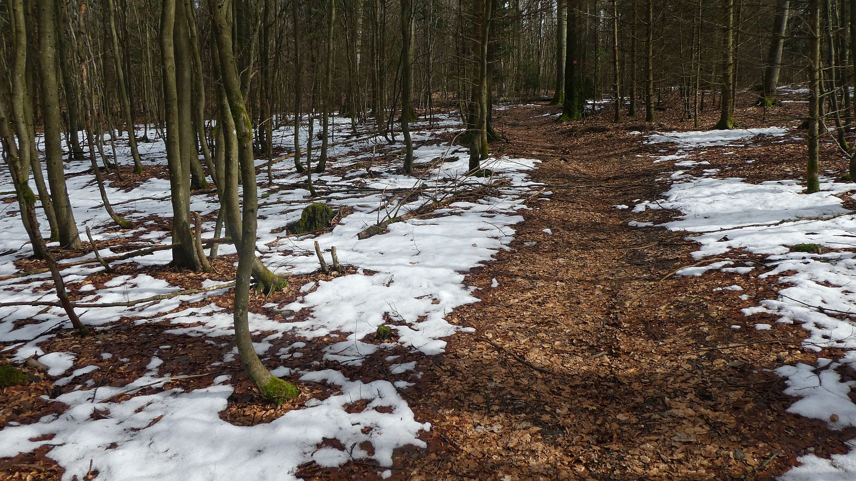 Rothaarsteig