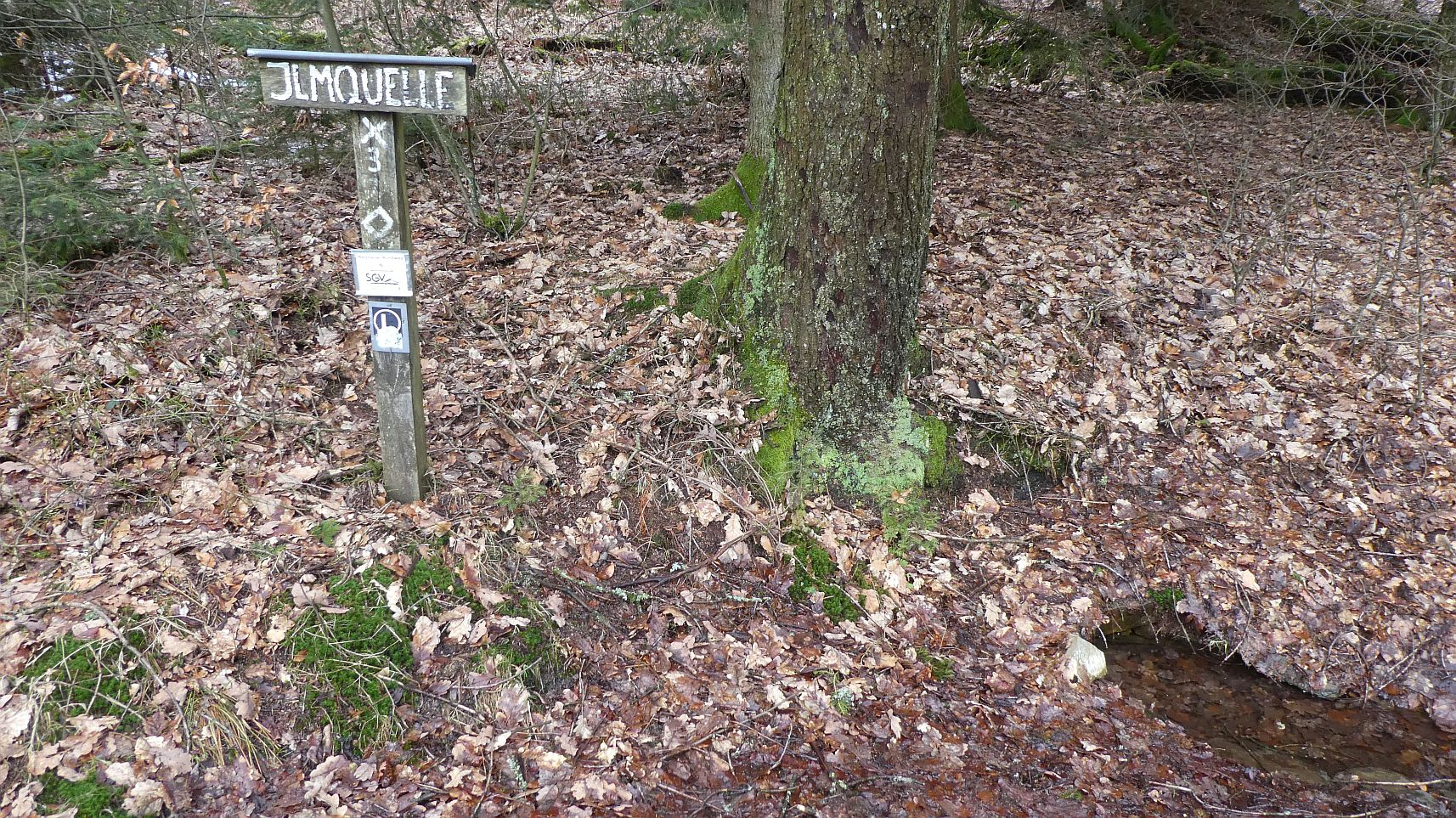 Rothaarsteig