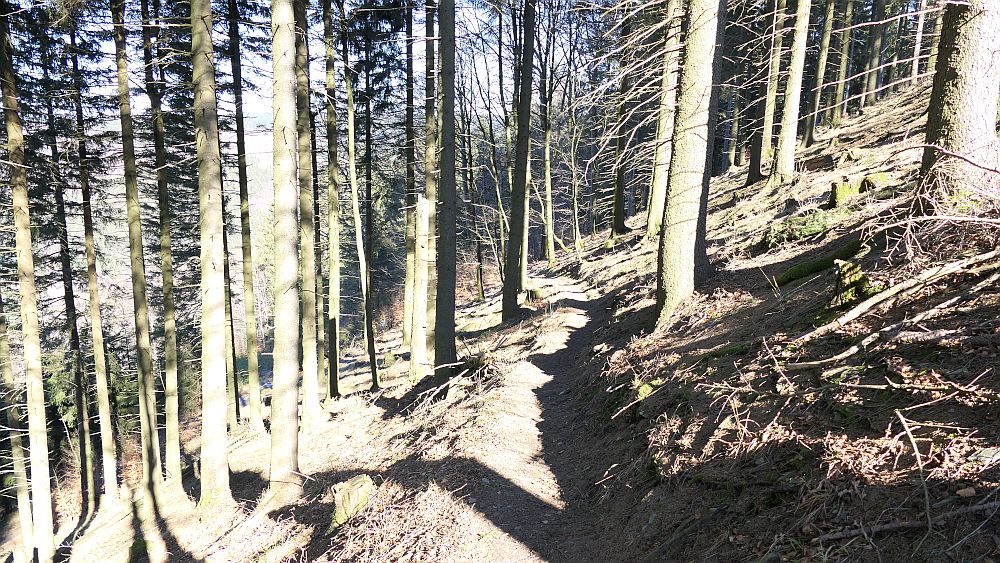 Kahler Asten Steig