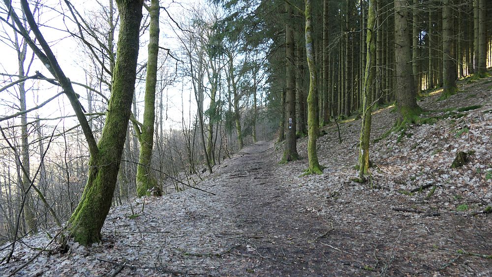 Kahler Asten Steig