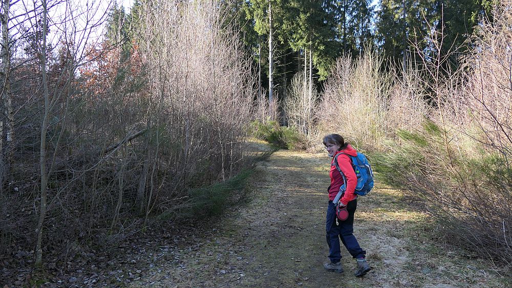 Kahler Asten Steig