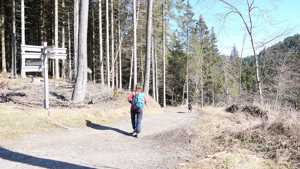 Kahler Asten Steig