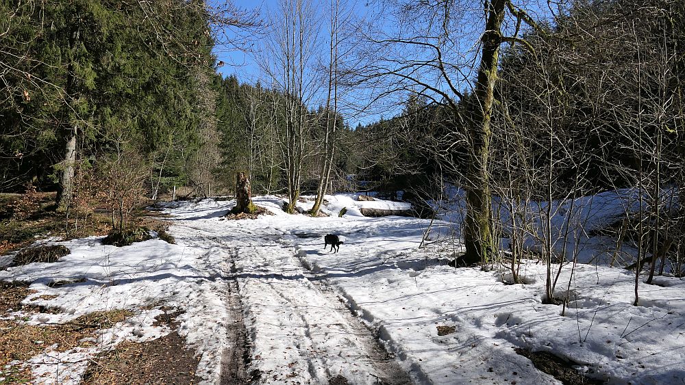 Kahler Asten Steig