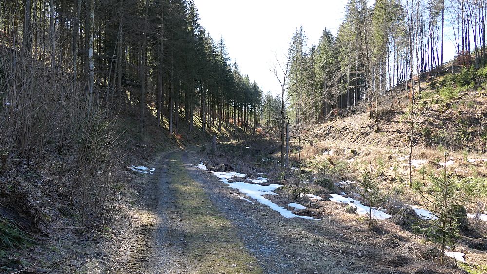 Kahler Asten Steig
