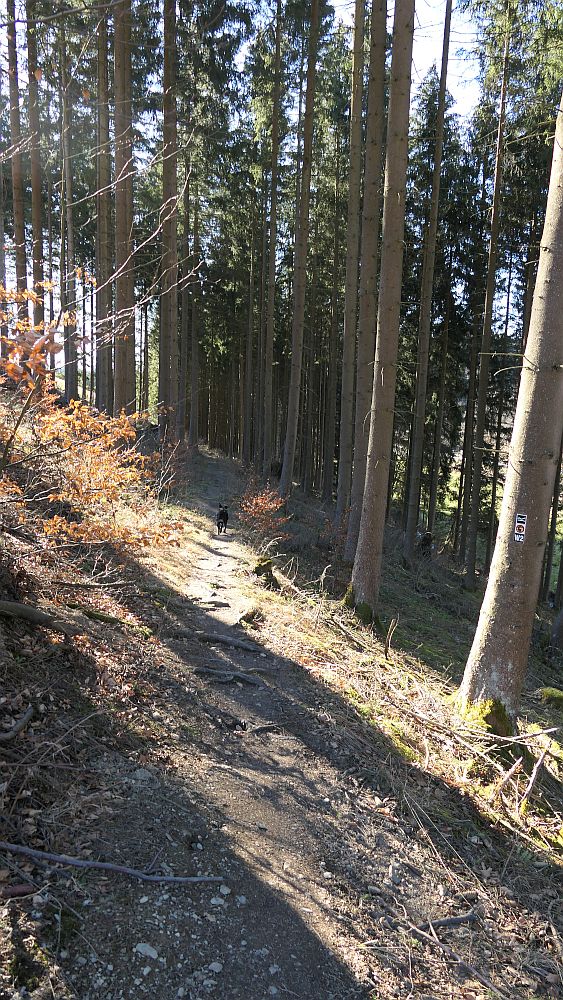 Kahler Asten Steig