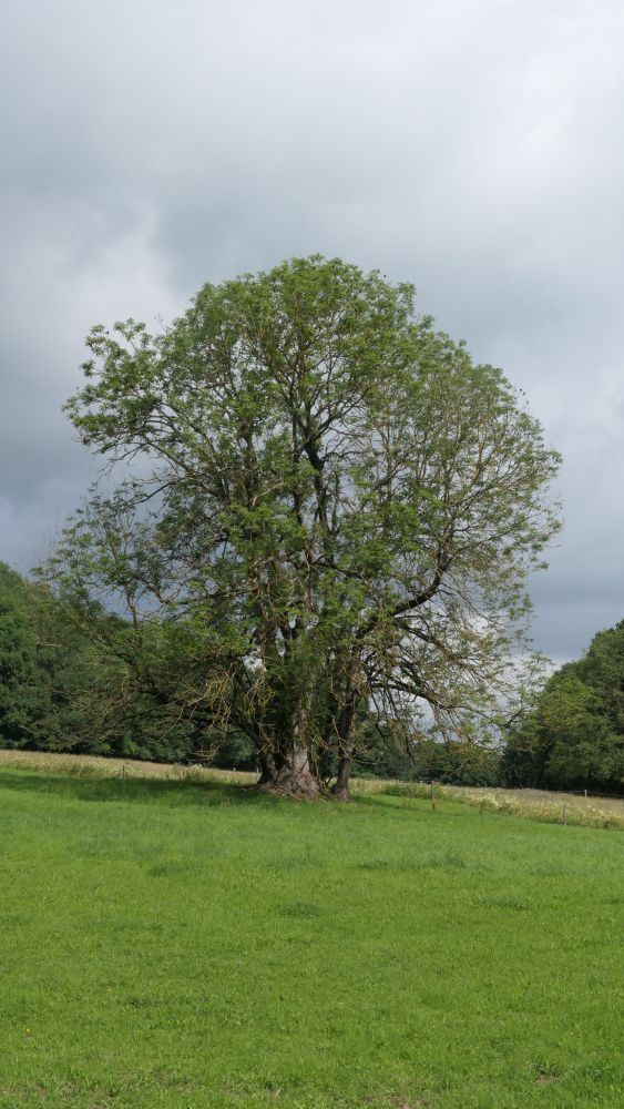 Breitscheider Höhlentour