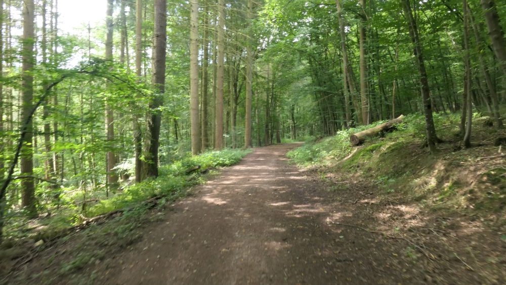 Breitscheider Höhlentour