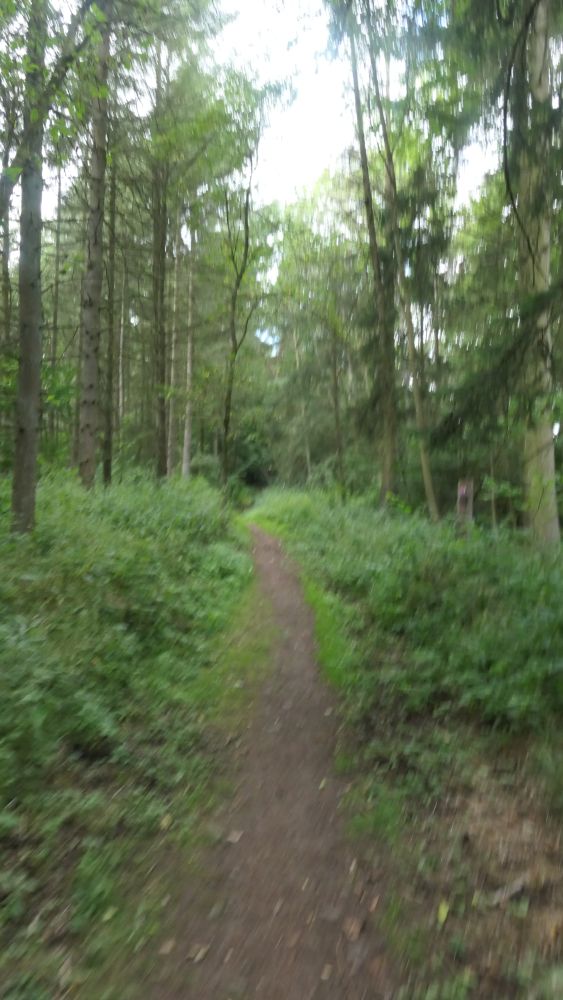Breitscheider Höhlentour