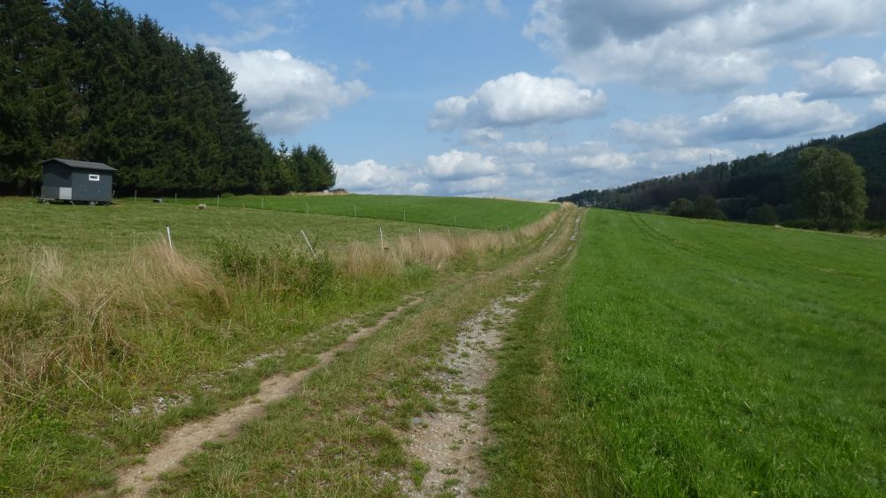 Dill Bergtour