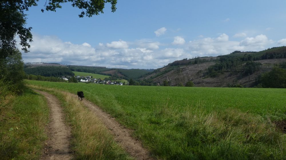 Dill Bergtour