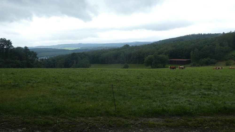 Gernsdorf Höhentour