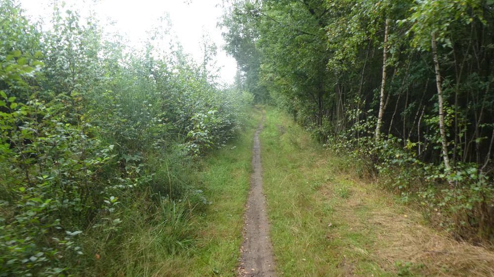 Gernsdorf Höhentour