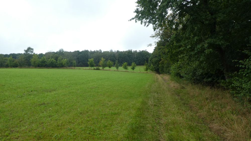 Gernsdorf Höhentour