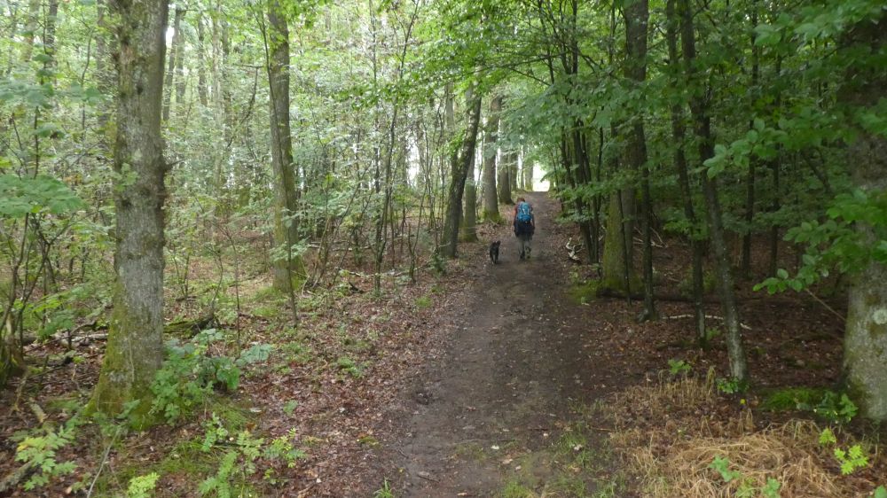 Gernsdorf Höhentour