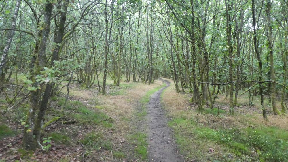 Gernsdorf Höhentour