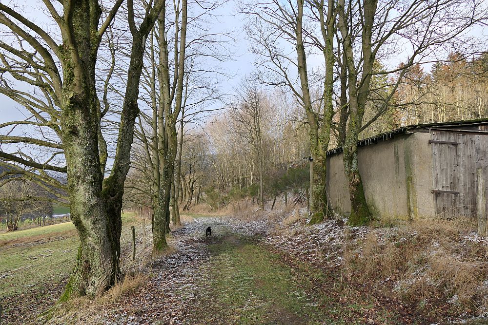 Grönebacher Dorfpfad