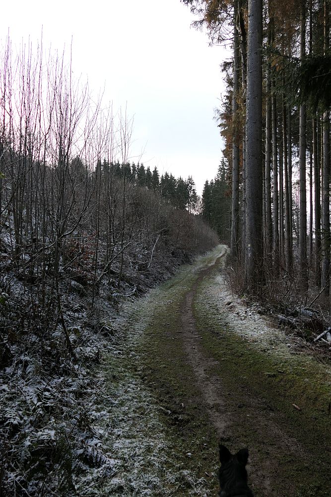 Grönebacher Dorfpfad
