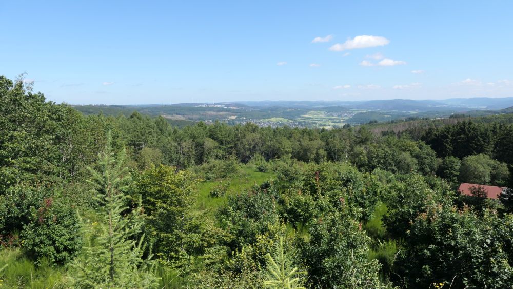 Romantischer Hickengrund