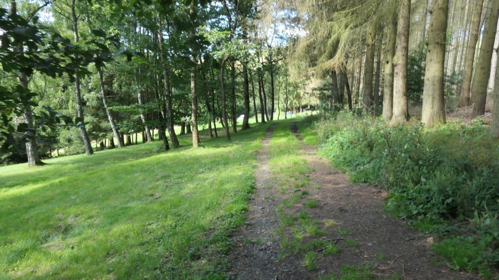 Romantischer Hickengrund