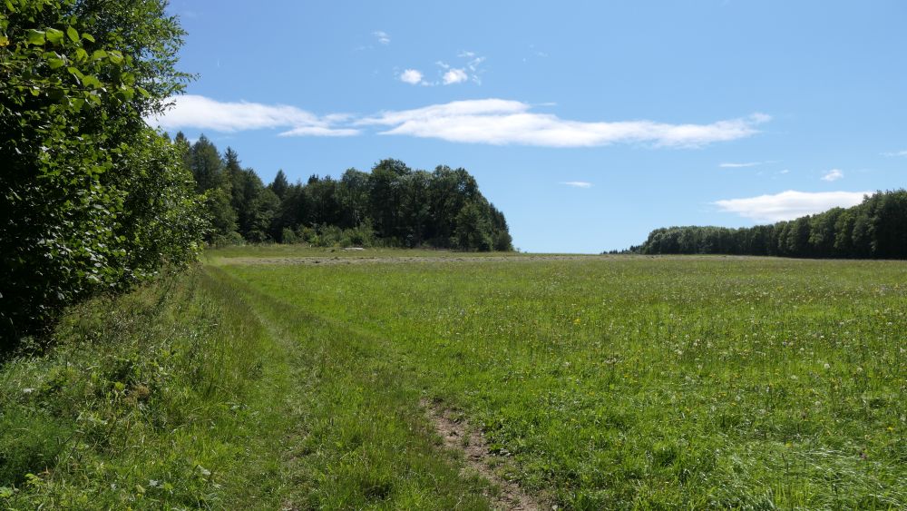 Romantischer Hickengrund