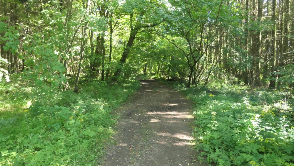 Romantischer Hickengrund