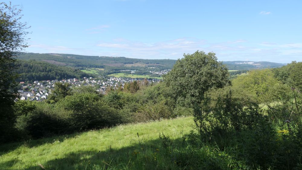 Romantischer Hickengrund