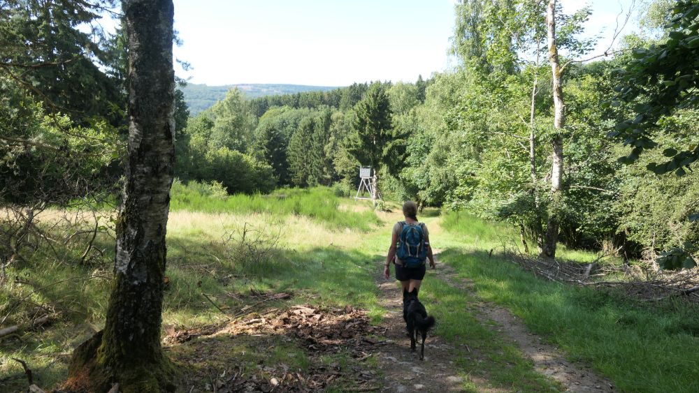 Romantischer Hickengrund