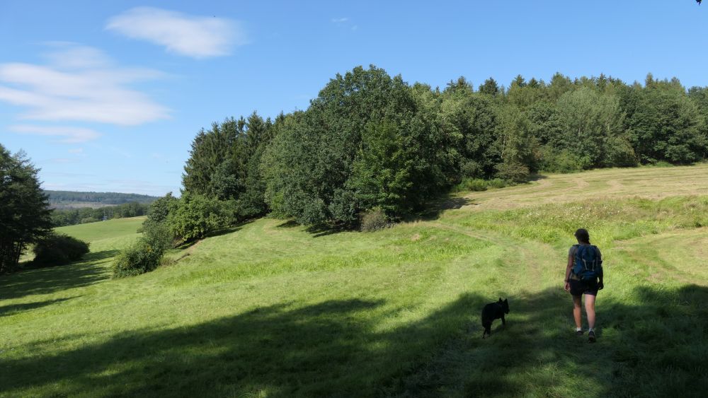 Romantischer Hickengrund