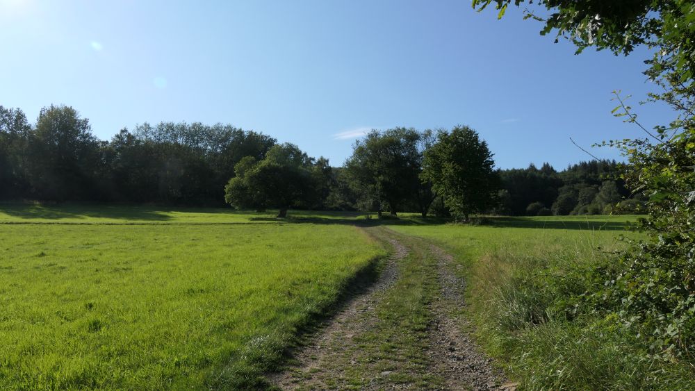 Romantischer Hickengrund
