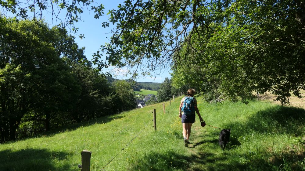 Romantischer Hickengrund