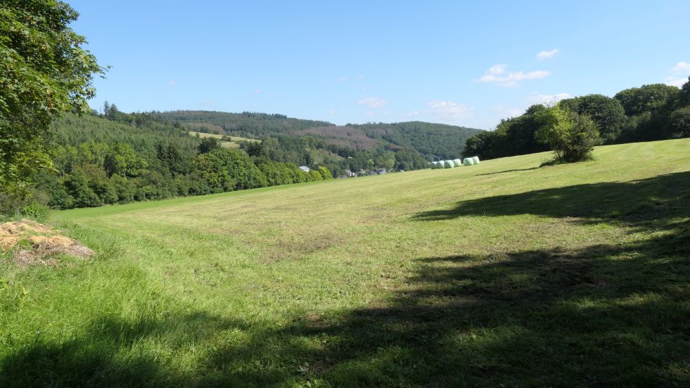 Romantischer Hickengrund