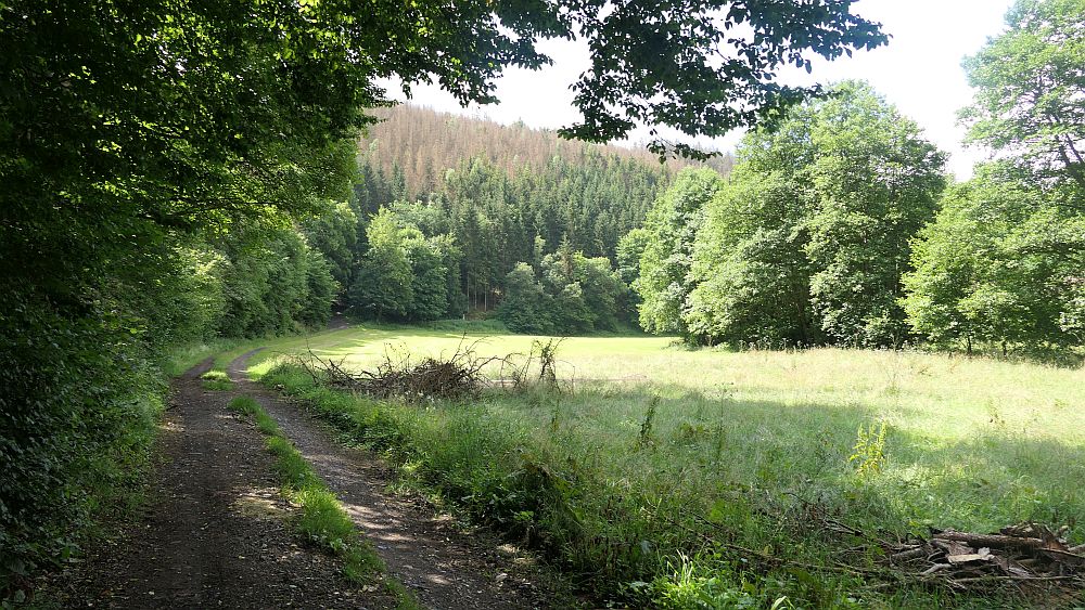 Ilsetalpfad