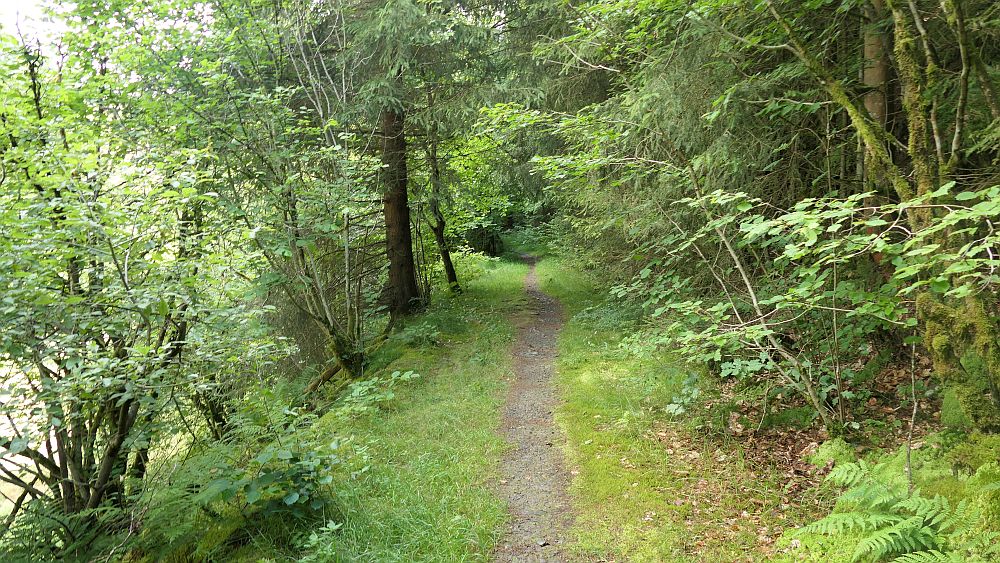 Ilsetalpfad
