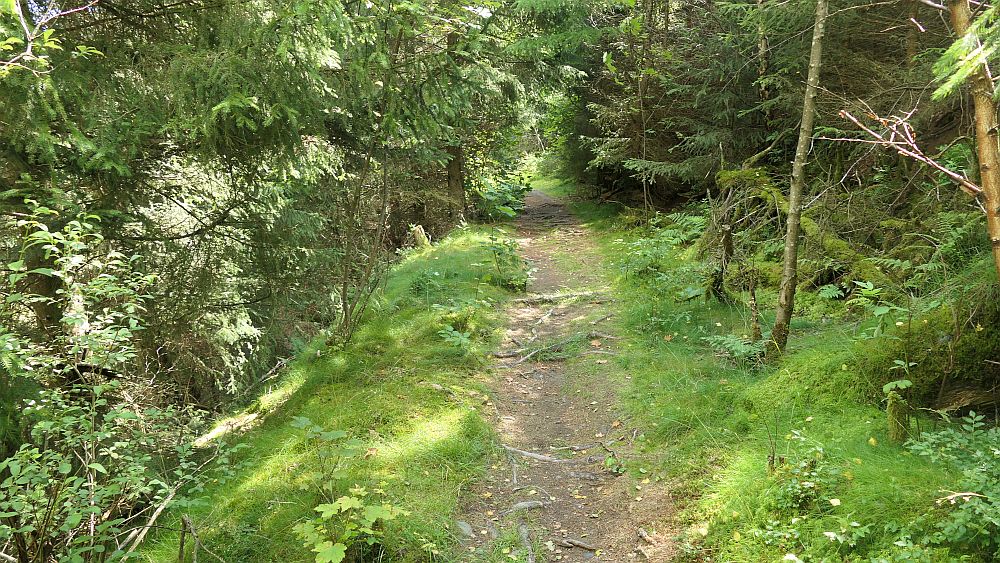 Ilsetalpfad