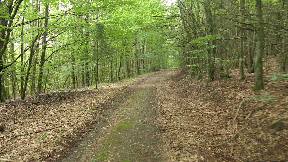 Ilsetalpfad