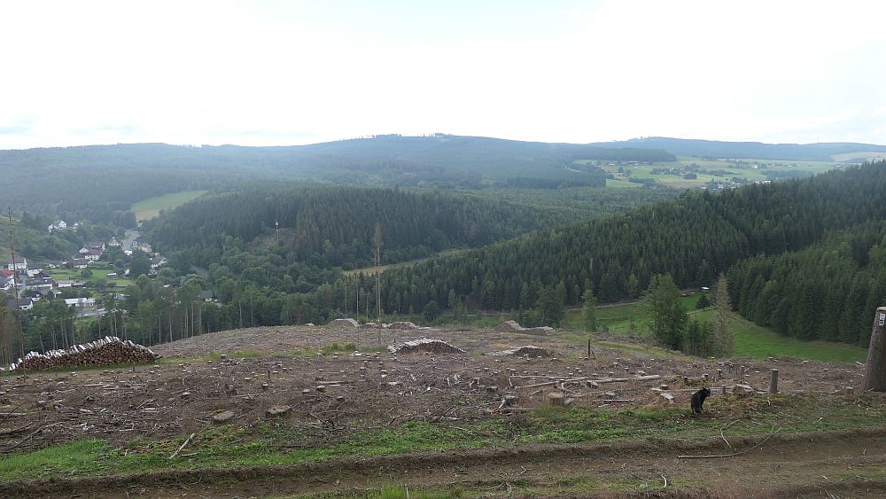 Ilsetalpfad