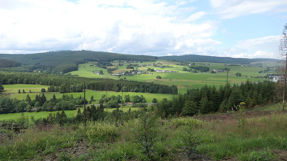 Ilsetalpfad
