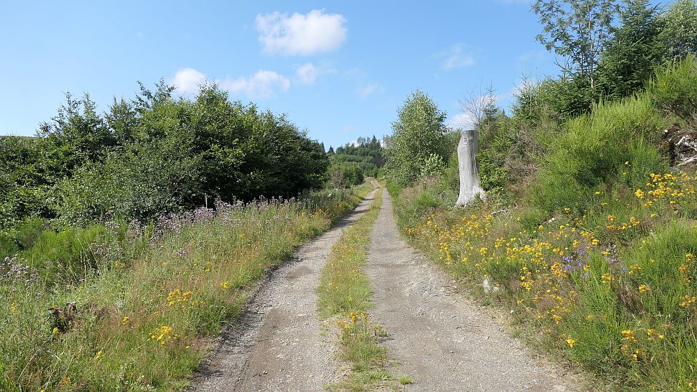 Ilsetalpfad