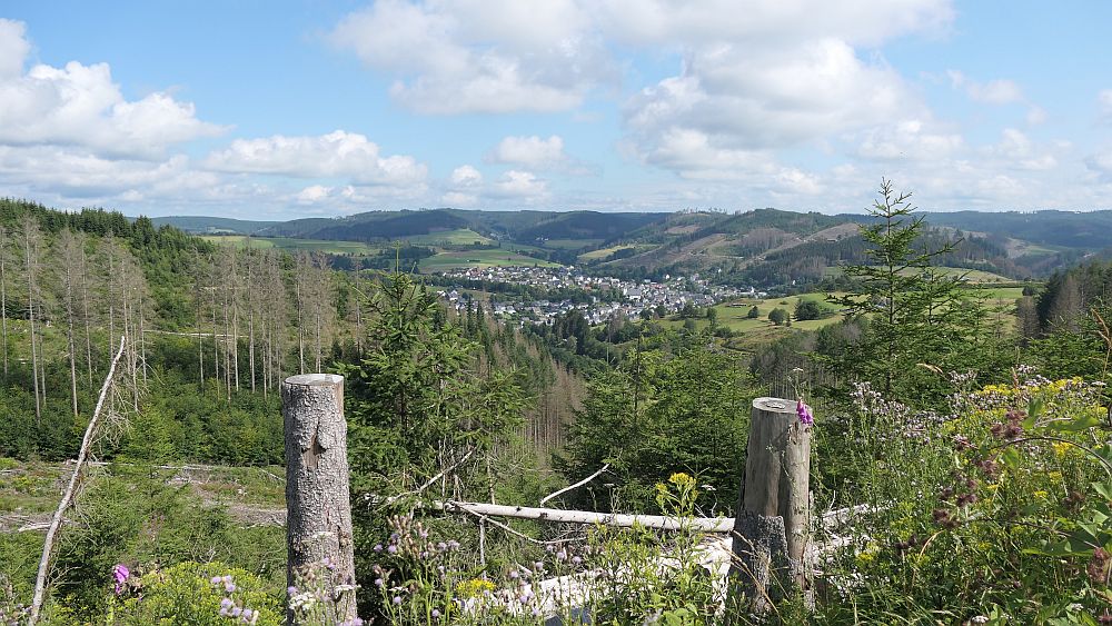 Ilsetalpfad