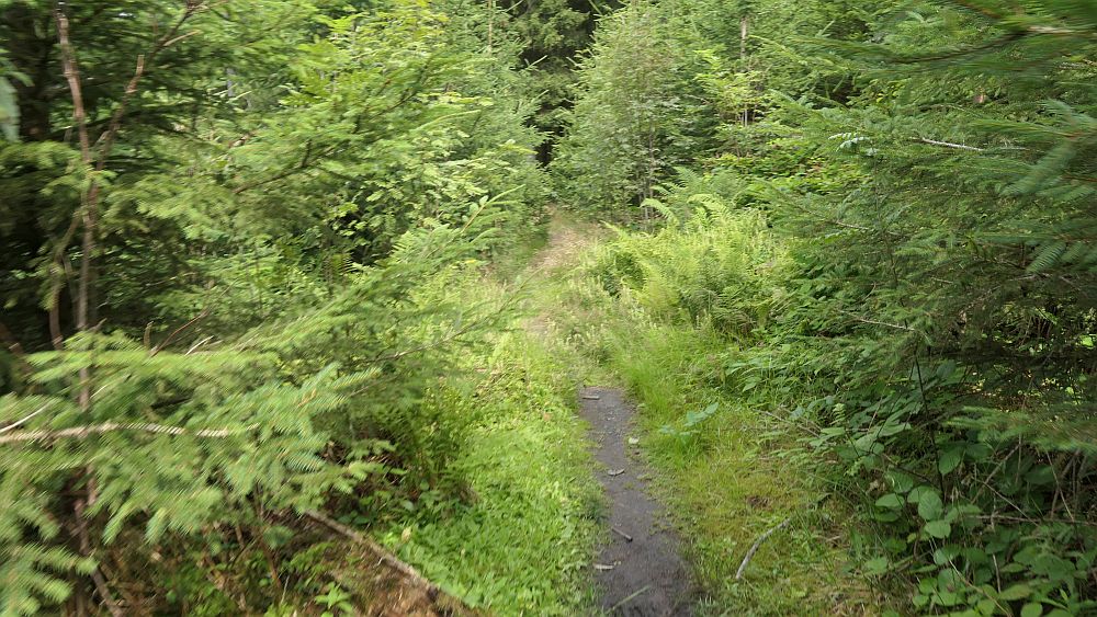 Oberhundemer Bergtour