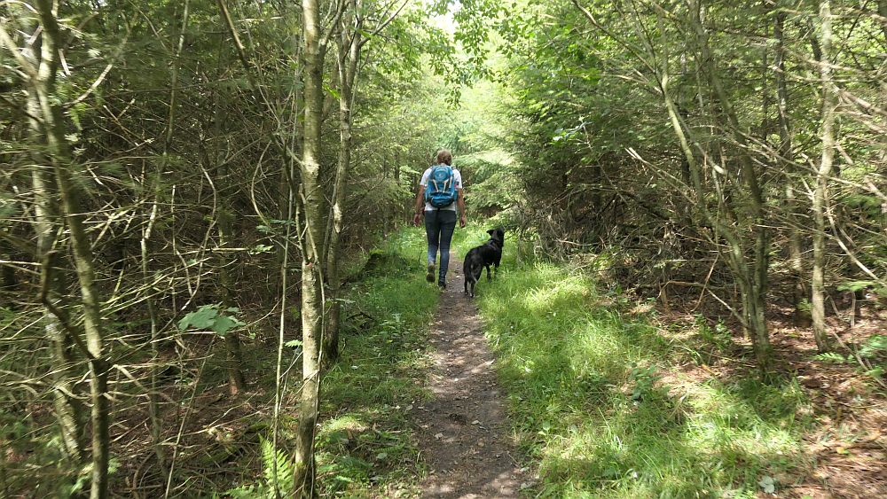 Oberhundemer Bergtour